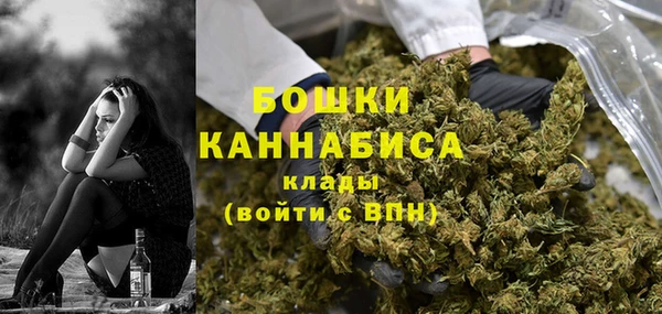 ПСИЛОЦИБИНОВЫЕ ГРИБЫ Алексеевка