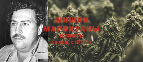 ешки Алзамай