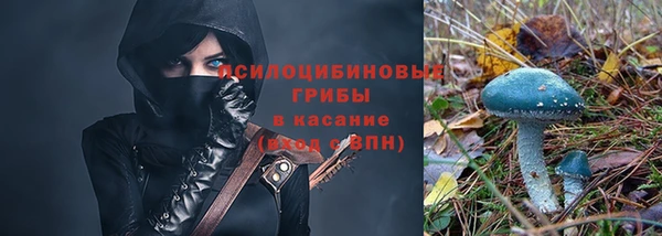 ешки Алзамай