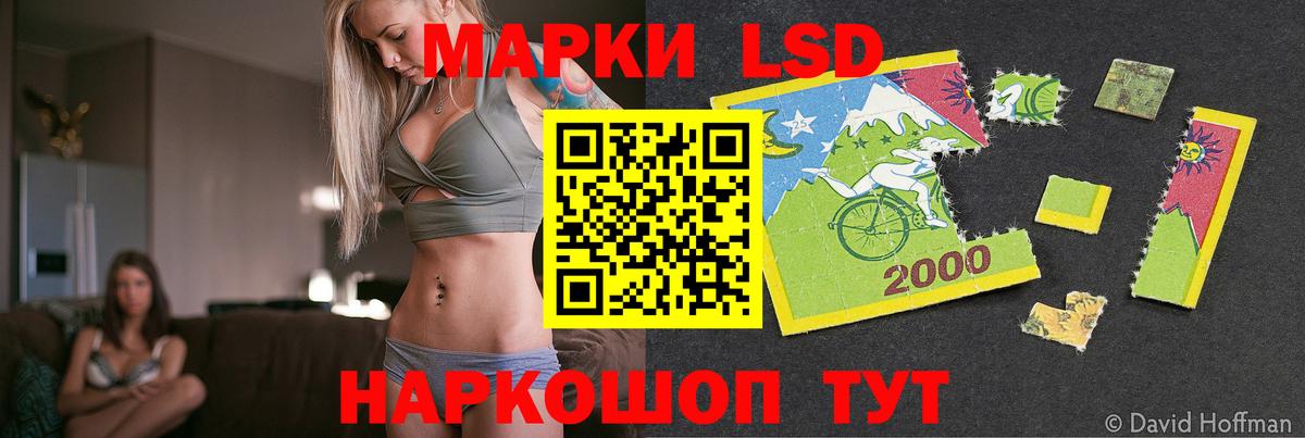 ЛСД экстази кислота  LSD-25 экстази кислота  Карачаевск  Вход с VPN 