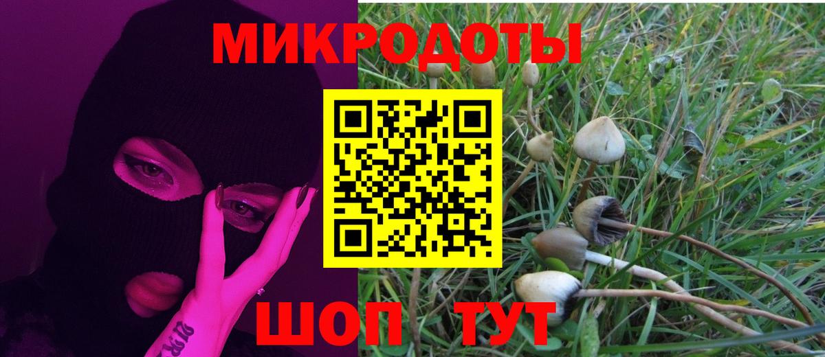 Галлюциногенные грибы мицелий  Галлюциногенные грибы прущие грибы  Вход с VPN  Карачаевск 