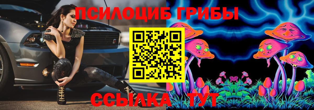 Псилоцибиновые грибы мухоморы Карачаевск